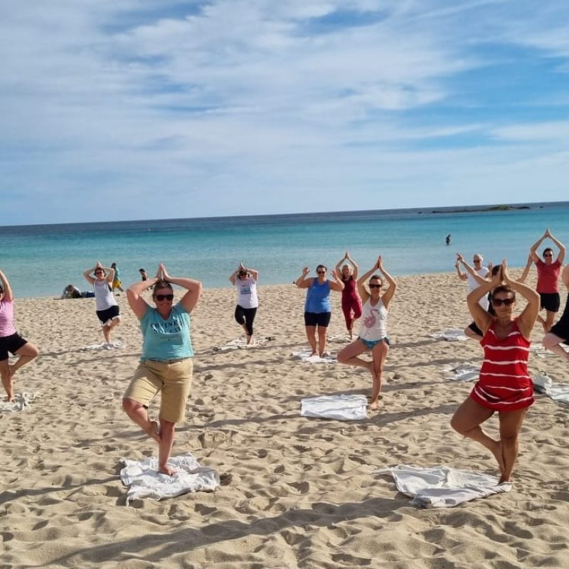 c5b4a473-6adc-4f10-9441-66c7c40d2b61