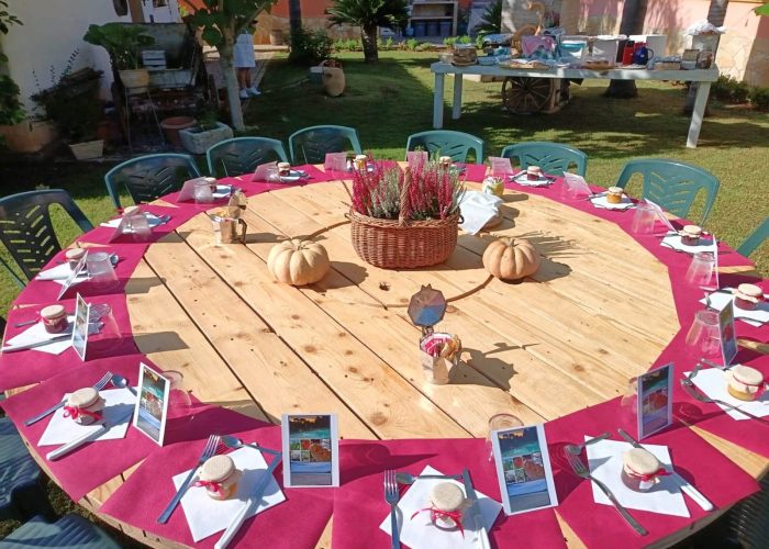 c6417f45-8f6c-42dd-9ef1-6a856c668419